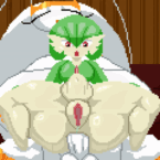 spinneborg - futa pheromosa gardevoir pokemon 7